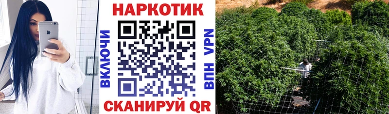 Как найти наркотики Пустошка Альфа ПВП  Бошки Шишки  АМФЕТАМИН  ГАШИШ  КОКАИН  Меф мяу мяу 
