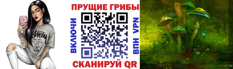 магазин OMG ссылки Галлюциногенные грибы мухоморы Пустошка